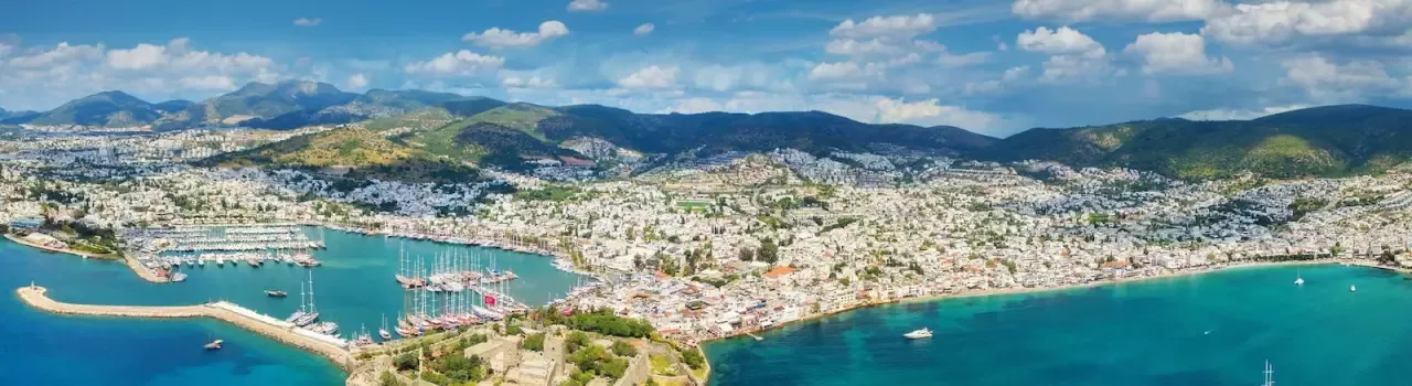 Bardakci