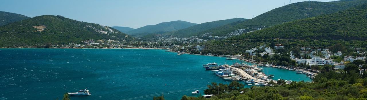Torba